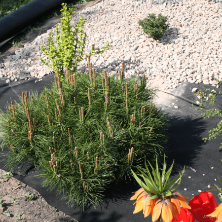 Агротекс Гео-120 нетканый материал для ландшафтных работ с УФ стабилизатором (3,2х100м  св 1,6)