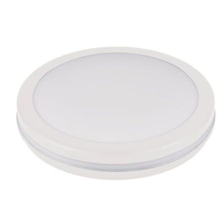 Cвет-к свет/диод. 30Вт круг белый IP65  d=300 3К/4К/6,5К 2550Лм LE 061100-0057 RBL 03