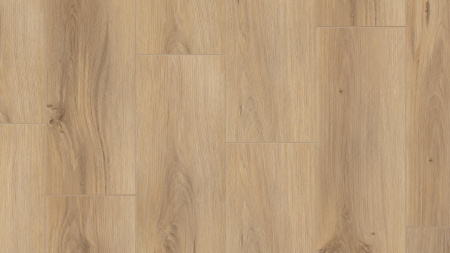 SPC FUTURE HOUSE 4V/33 кл Jonas 1220х200,8х4,10 мм (1,96 м2)