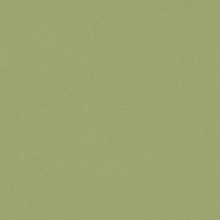 Линолеум  Acczent про Aspect 9 (3.0м/2,0мм) (60м2) Tarket