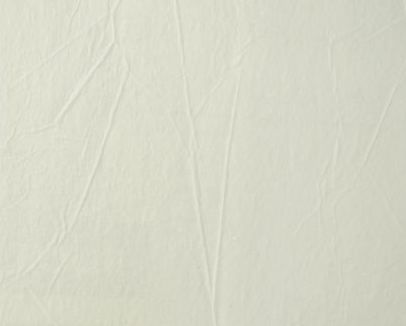 1889 Обои под покраску Marburg (Patent Decor) 0,53х25 (винил на флиз)