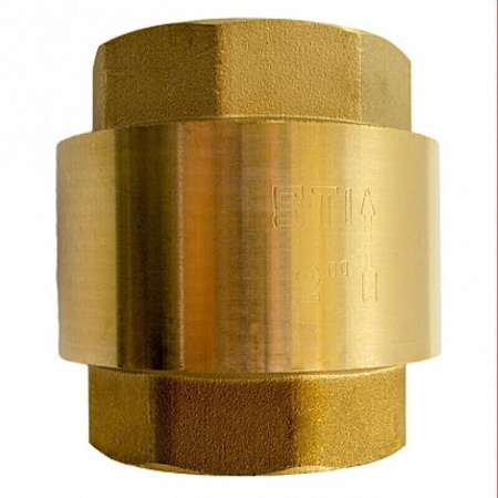 Клапан обратный пружинный 2" STI