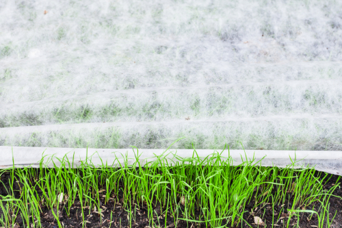 Укрывной материал-17 СпанИзол для газонной травы, зелени, рассады .