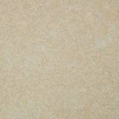 Декоративная штукатурка Виктория Б-722 (з)*