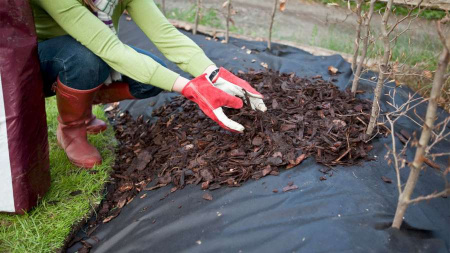 Укрывной материал-60 черный СпанИзол (1600мм) мульчирующий, для защиты от сорняков и замороз (100м2)