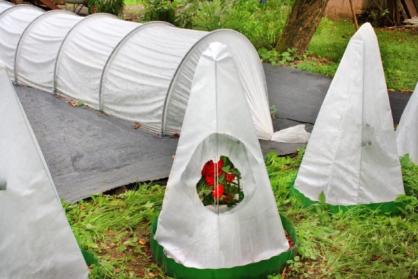 Укрывной материал-60 белый СпанИзол (1600мм) для теплиц и парников, для защиты от заморозков (100м2)