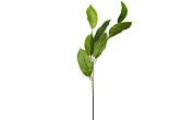Листья жакаранды 84 см, (24) 9F27924N-4382 
