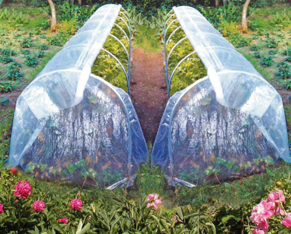 Парник "Огурчик" 1м*1м*5м