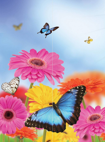 Фотообои MATRIX  Flizzetto Бабочка на разноцветных цветах 2*2,7м /м-2214429 