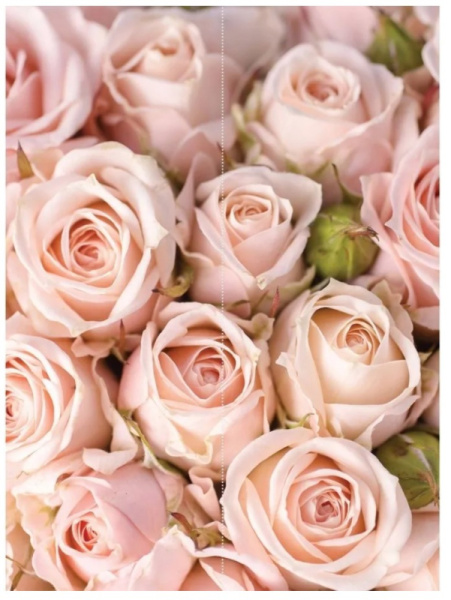 Фотообои MATRIX  Flizzetto Розовые розы 2*2,7м / м-2215454