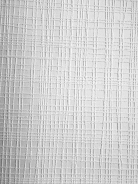 Обои под покраску Vlies Band 2006-25 1,06*25 (4) (з)*