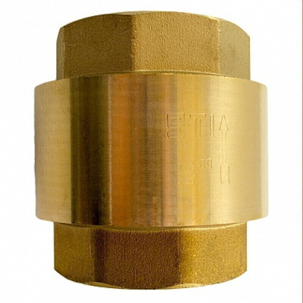 Клапан обратный пружинный 2" STI