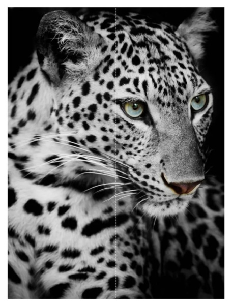 Фотообои MATRIX  Flizzetto Взгляд хищника 3*2,7м /м-2323740